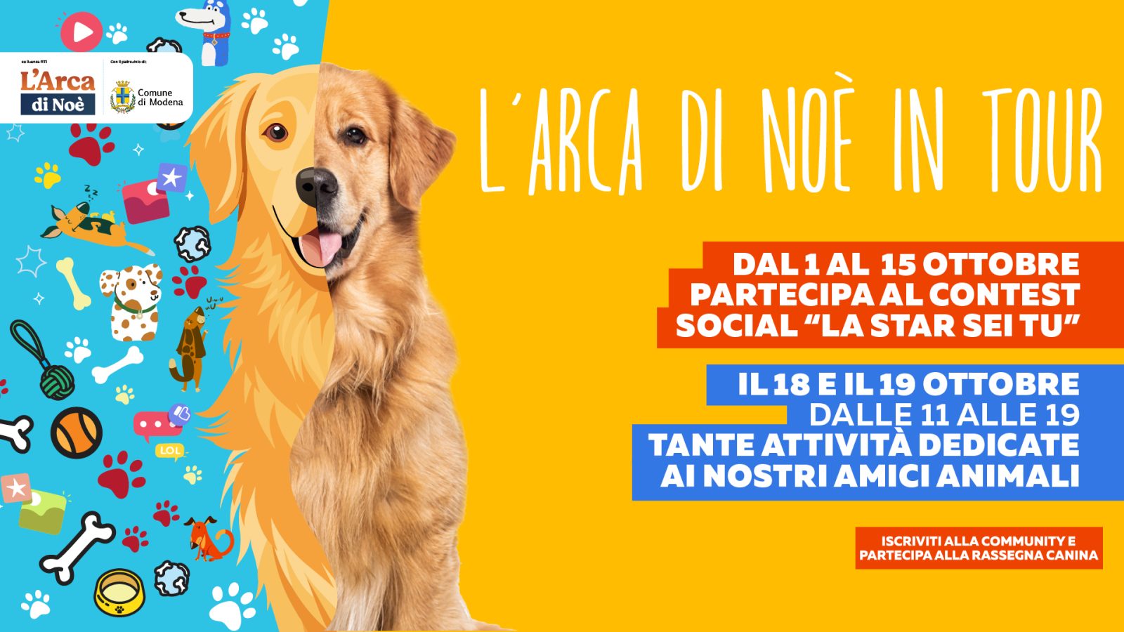 IPORTALI ARCADINOE SITO 1920X1080 X