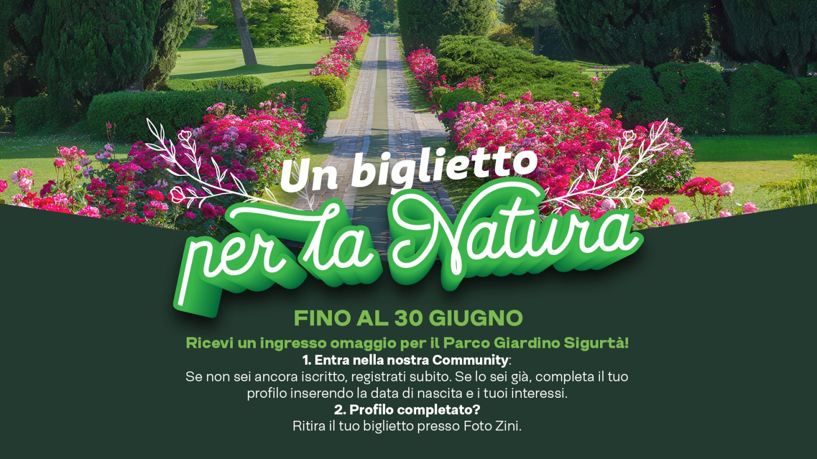 SITO WEB
